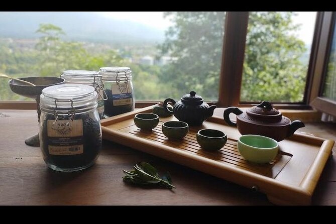 1,5 Hours Tea House and Tea Garden Trip in Ozurgeti Georgia - Key highlights you’ll actually care about