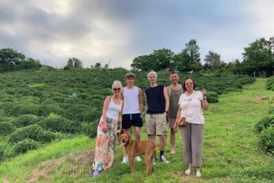 1,5 Hours Tea House and Tea Garden Trip in Ozurgeti Georgia - The production facility: where the leaves become premium tea