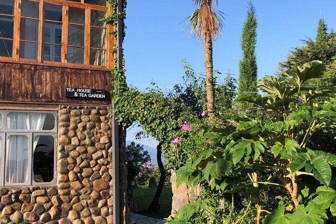 1,5 Hours Tea House and Tea Garden Trip in Ozurgeti Georgia - Language options: choosing the right fit