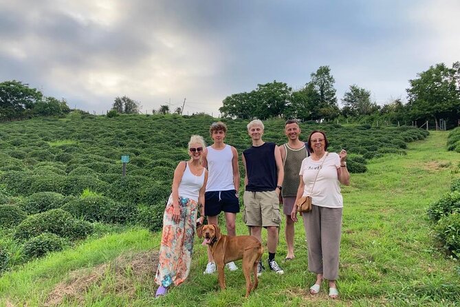 1,5 Hours Tea House and Tea Garden Trip in Ozurgeti Georgia - The production facility: where the leaves become premium tea