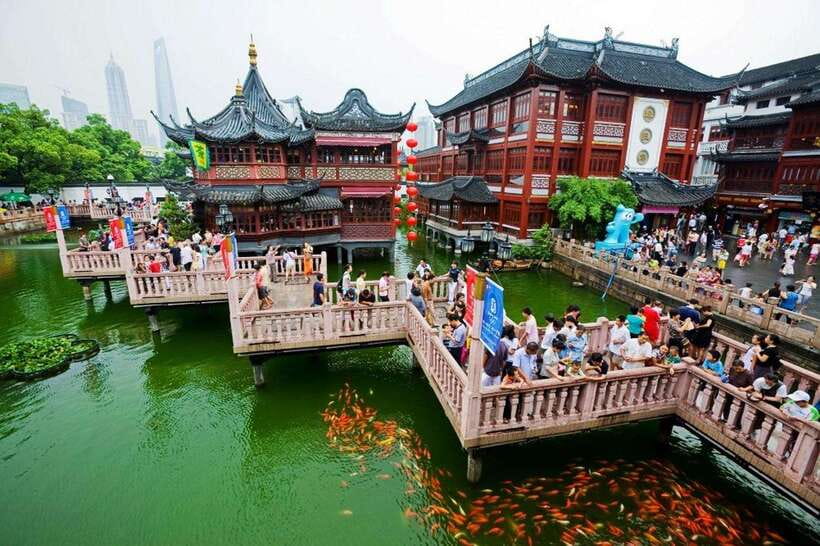 4-Hour Shanghai Best Garden and Temple Tour with Tea Tasting - Who this tour fits best (and who should pick something else)