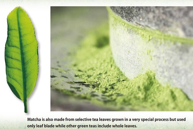 A 90 min. Tea ceremony Workshop In The Authentic Tea Room - Matcha Details That Actually Help You Taste Better