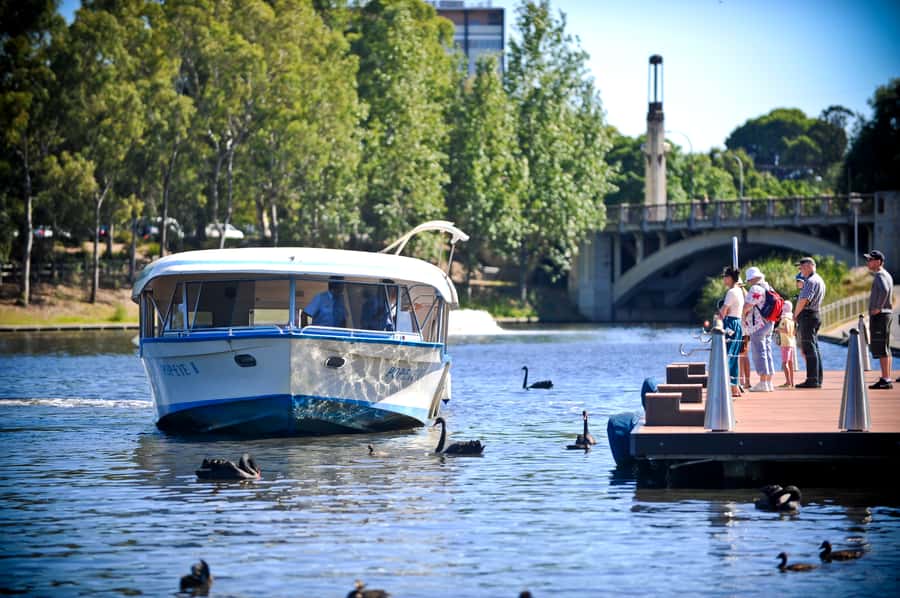 Adelaide: River Torrens Popeye Devonshire Tea Cruise - The Cruise Route: Adelaide Festival Centre, SAHMRI, Adelaide Gaol, and the Weir Gate