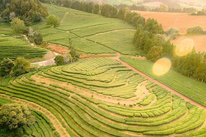Adventure in the Furnas, with volcanoes, lagoons and tea plantations - Guides matter: what makes this tour feel smooth