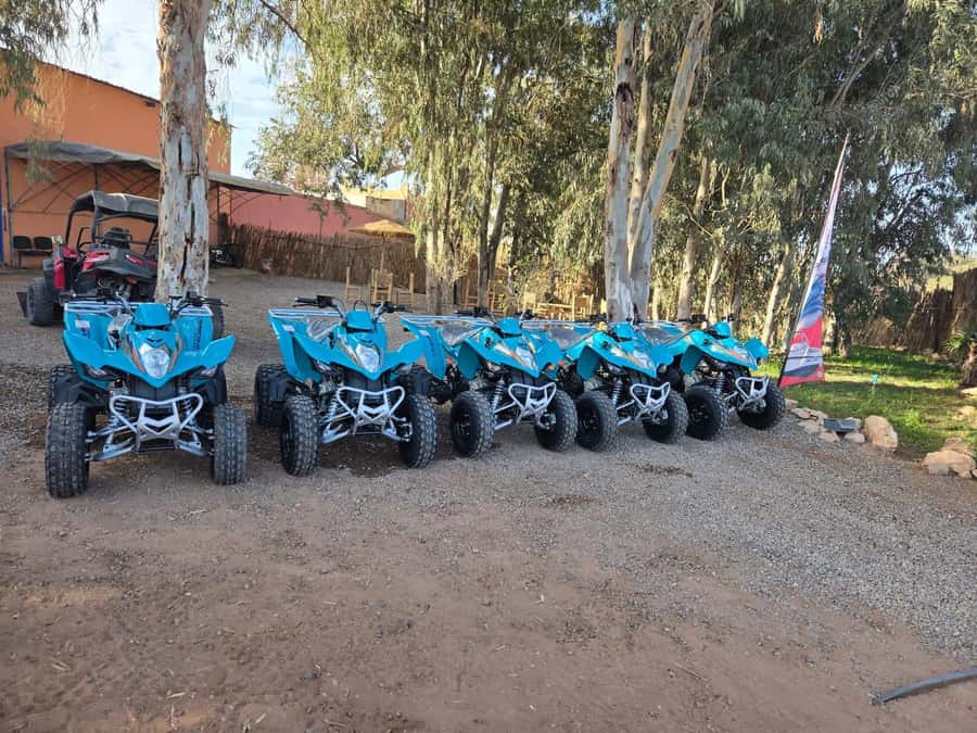 Agadir : 2 h Quad biking excursion with moroccan tea - From Your Hotel to the Base: The Transfer Matters
