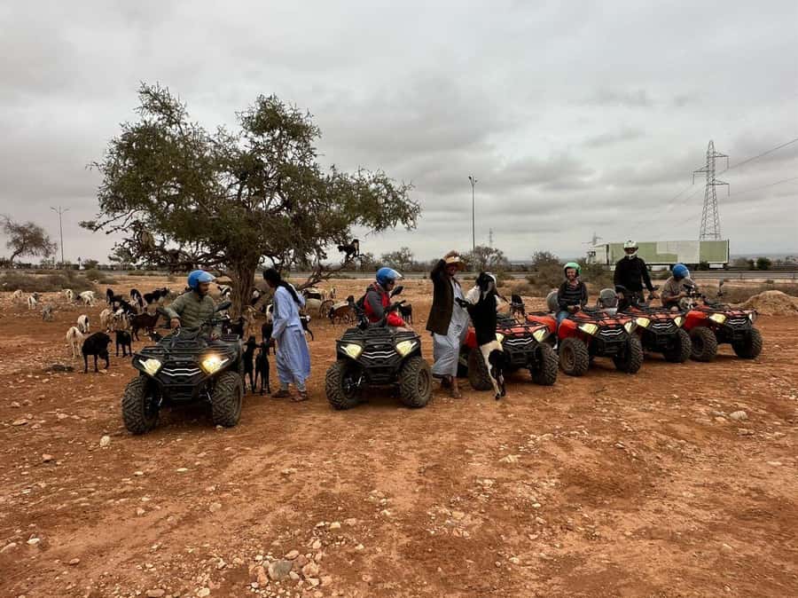 Agadir: ATV Quad Biking and Goats On Argan Trees with Tea - Price and value: what you really get for around $19