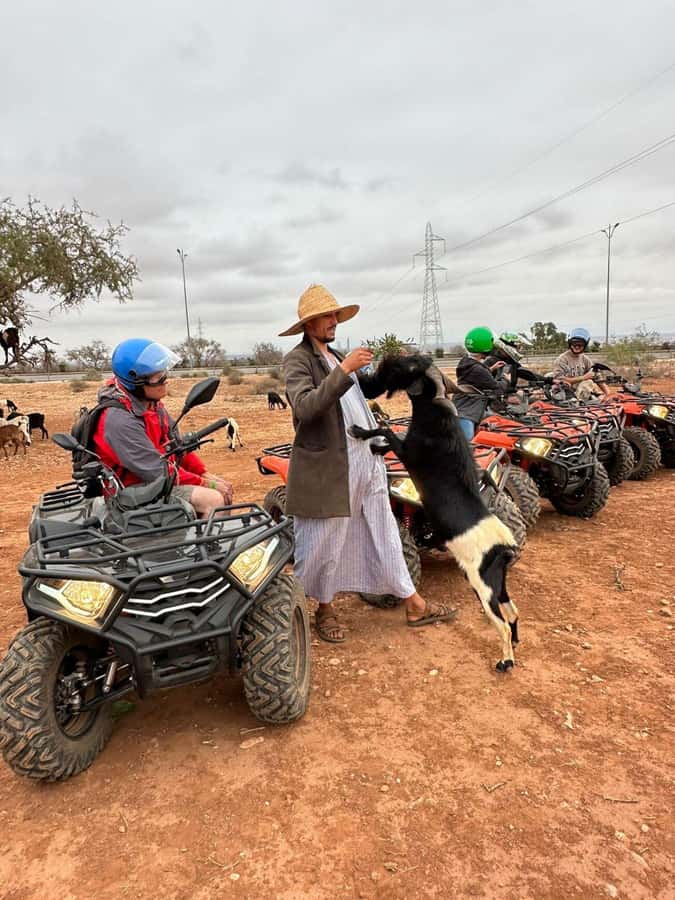 Agadir: ATV Quad Biking and Goats On Argan Trees with Tea - Small group energy: up to 10 riders and a guide who watches you