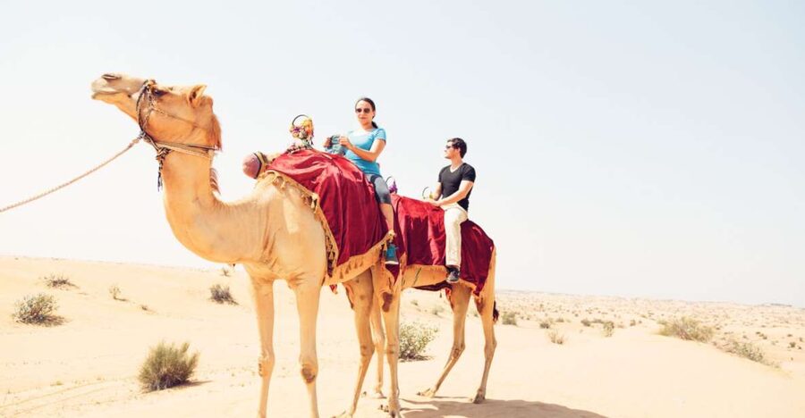 Agadir: Camel Ride With Tea - A Calm Camel Experience That Steps You Outside Agadir