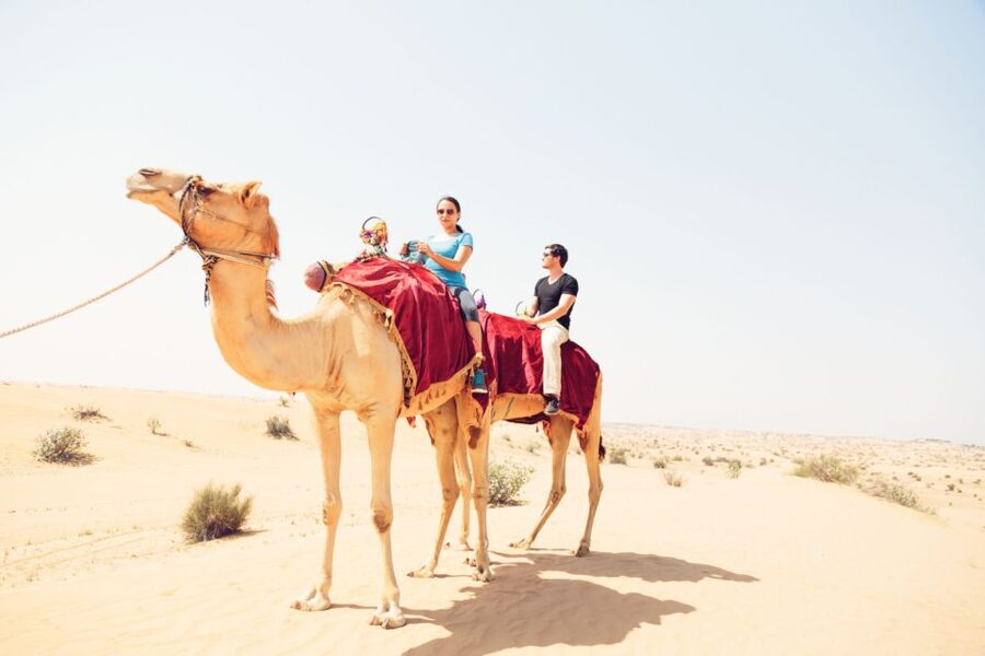 Agadir: Camel Ride With Tea - Choosing Your Camel and Meeting the Guide