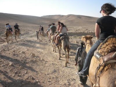 Agadir: Camel Ride With Tea - Getting There: Hotel Pickup and the Short Drive by the King’s Palace