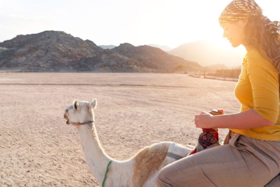 Agadir: Camel Ride With Tea - The Ride Itself: Ranch Loops, Eucalyptus Trees, and Along the Souss River