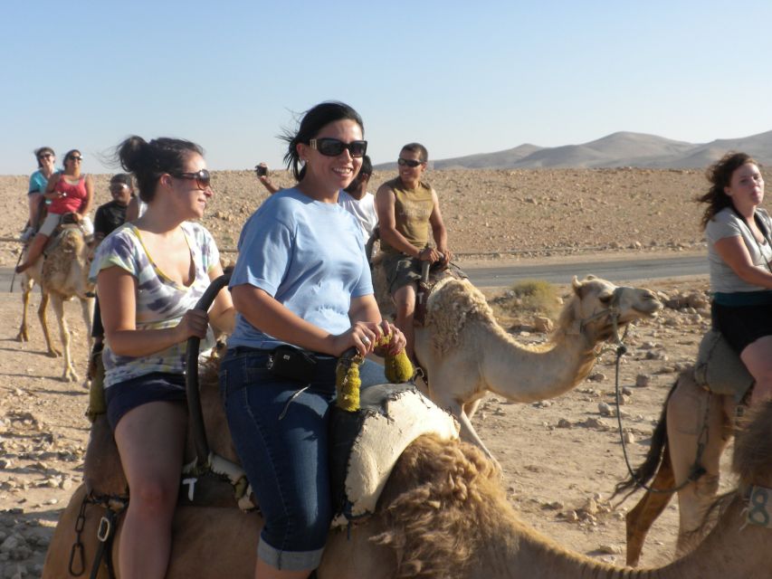 Agadir: Camel Ride With Tea - The Tea Stop: Mint Tea, Snacks, and a Few Practical Comfort Tips