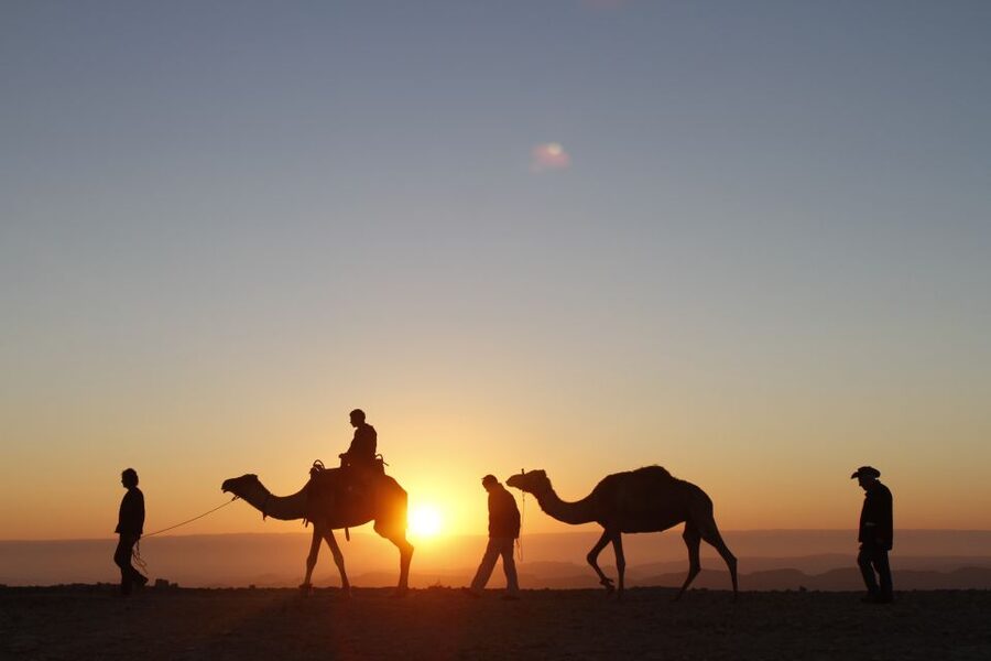 Agadir: Camel Ride With Tea & BBQ Dinner Option - Who Should Book This Tour (and Who Might Skip It)