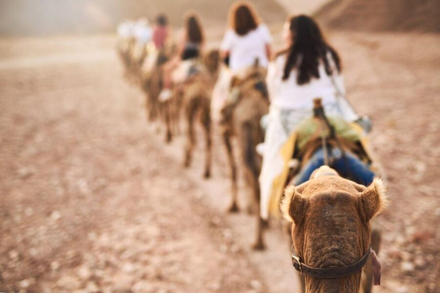 Agadir: Camel Ride With Tea & BBQ Dinner Option - Why This Agadir Camel Ride Feels Like a Quick Reset