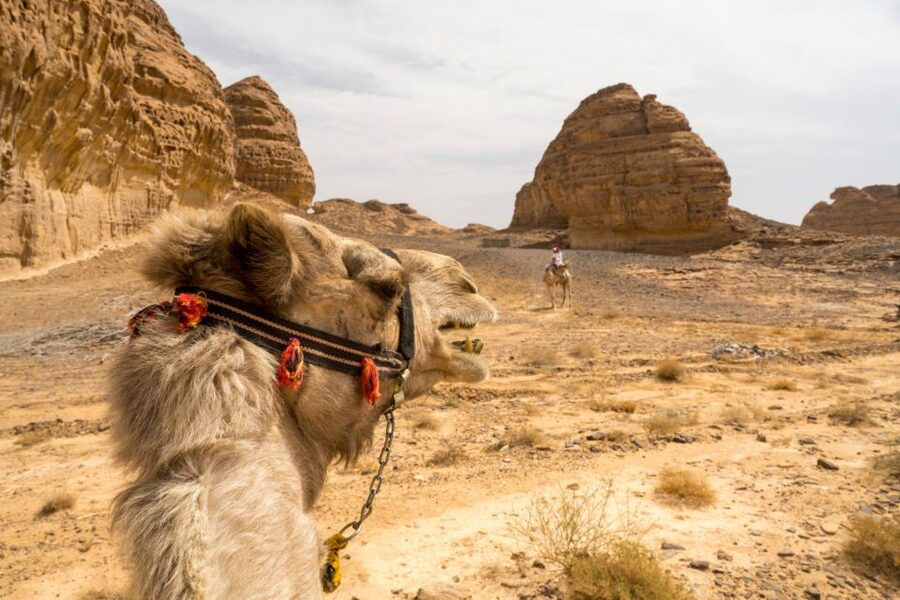 Agadir: Camel Ride With Tea & BBQ Dinner Option - Mint Tea Break at the Ranch: Why It’s More Than a Snack
