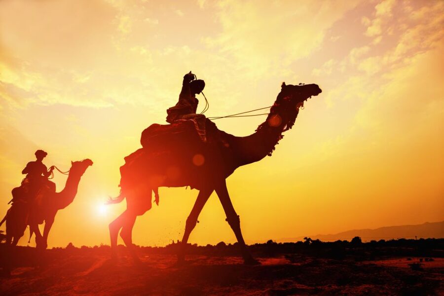 Agadir: Camel Ride With Tea & BBQ Dinner Option - Should You Book? My Decision Guide