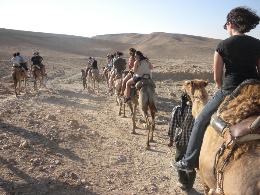 Agadir: Camel Ride With Tea - Getting There: Hotel Pickup and the Short Drive by the King’s Palace