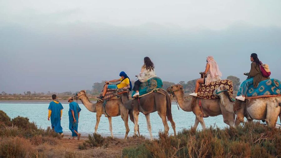 Agadir: Camel Riding Tour with Tea Drink - Quick hits before you go