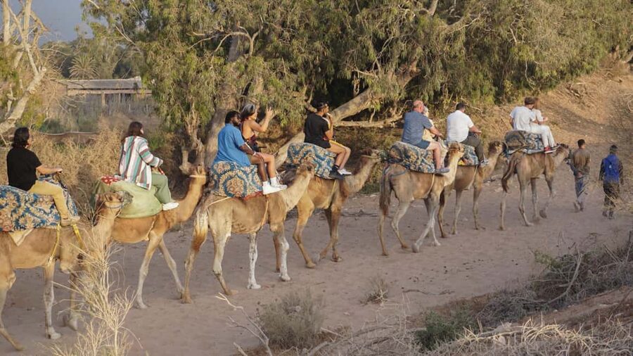 Agadir: Camel Riding Tour with Tea Drink - FAQ