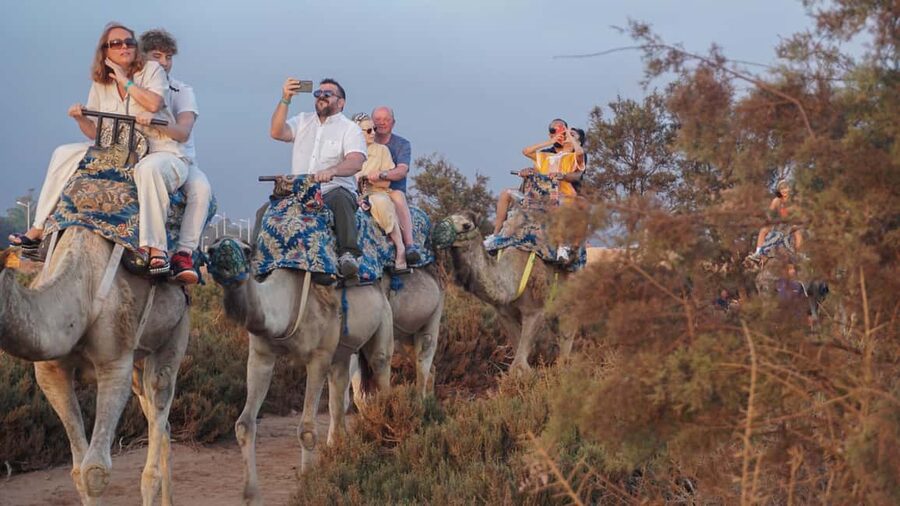 Agadir: Camel Riding Tour with Tea Drink - From hotel pickup to meeting your camel guide