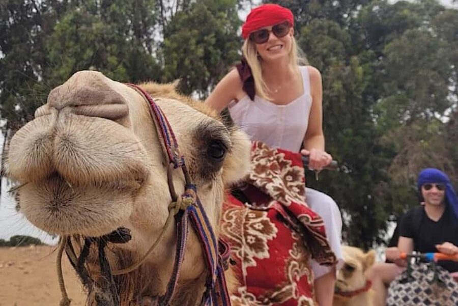 Agadir: Camel Riding Tour with Tea Drink - The big expectation check: dunes or river-side riding?