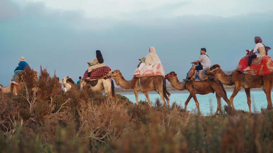 Agadir: Camel Riding Tour with Tea Drink - Mint tea at the end: a small stop that adds up