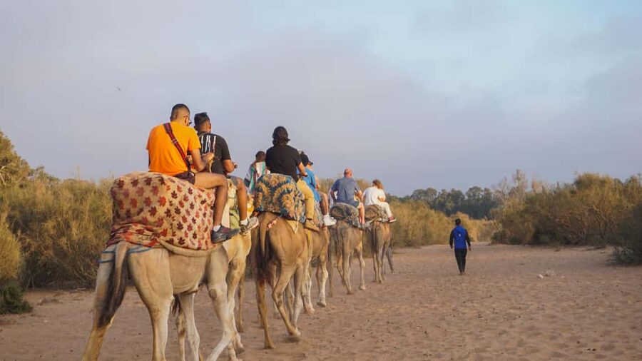 Agadir: Camel Riding Tour with Tea Drink - Dinner option and what you’ll need to pay for separately
