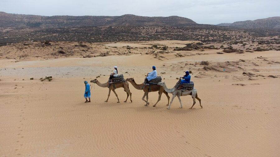 Agadir: Camel Riding Tour with Tea Drink - How much is $22 worth? (Pretty good, with one smart check)