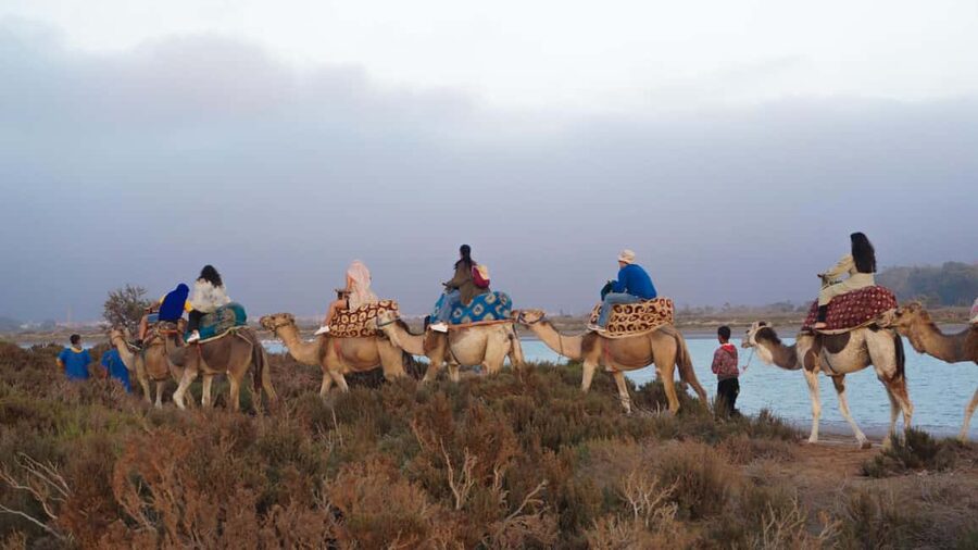 Agadir: Camel Riding Tour with Tea Drink - Should you book this Agadir camel ride with tea?