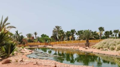 Agadir: Crocoparc Entry Ticket with Transfers, Guide, & Tea - A Park Built for Walkers: Gardens, Reptiles, and Feeding Moments