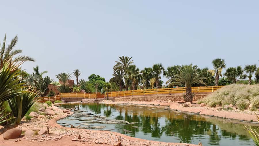 Agadir: Crocoparc Entry Ticket with Transfers, Guide, & Tea - A Park Built for Walkers: Gardens, Reptiles, and Feeding Moments