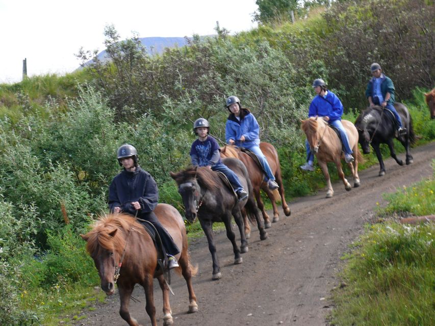 Agadir: Guided Horse Riding Along Flamingo River with Tea - Key Highlights You’ll Actually Care About
