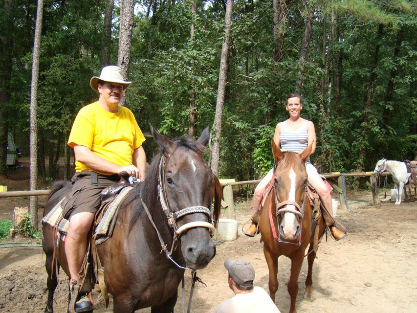 Agadir: Guided Horse Riding Along Flamingo River with Tea - Horseback Over Agadir Dunes and Toward Flamingo River
