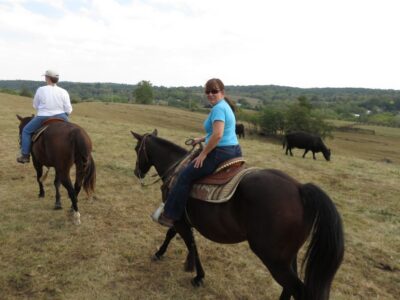 Agadir: Guided Horse Riding Along Flamingo River with Tea - What the Two-Hour Ride Feels Like (Pace, Gallops, and Horse Handling)