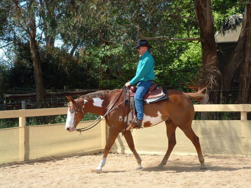 Agadir: Guided Horse Riding Along Flamingo River with Tea - Tips for a Smoother Ride and Better Photos