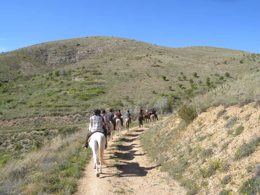 Agadir Horse Riding visite the flamingo river with tea drink - From Hotel Pickup to Stable Time: How the Day Flows