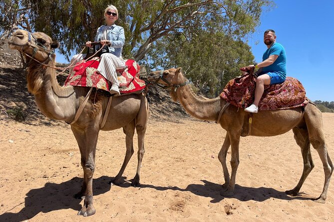 Agadir Quad ATV Adventure Tour with Berber Tea Experience - Price and value: what you’re paying for at about $37.67