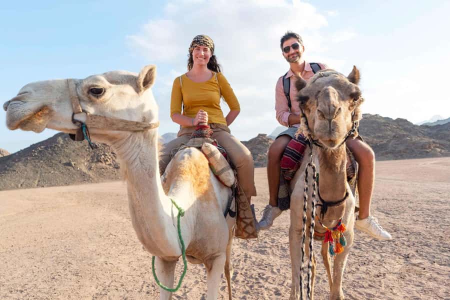 Agadir/Taghazout: Camel Ride with Tea Drink and Transfers - Key Things to Know Before You Go