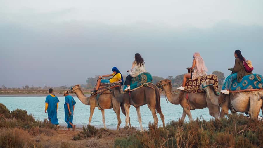 Agadir/Taghazout: Camel Ride with Tea Drink and Transfers - Meeting the Camel Guide: What Happens Before You Climb