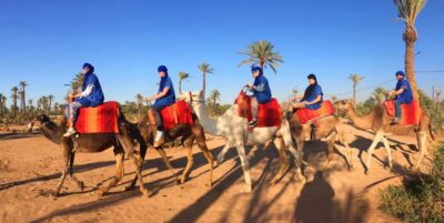 Agadir/Taghazout: Camel Ride with Tea Drink and Transfers - Transfers From Your Hotel: Easy Start, No Puzzle Pieces