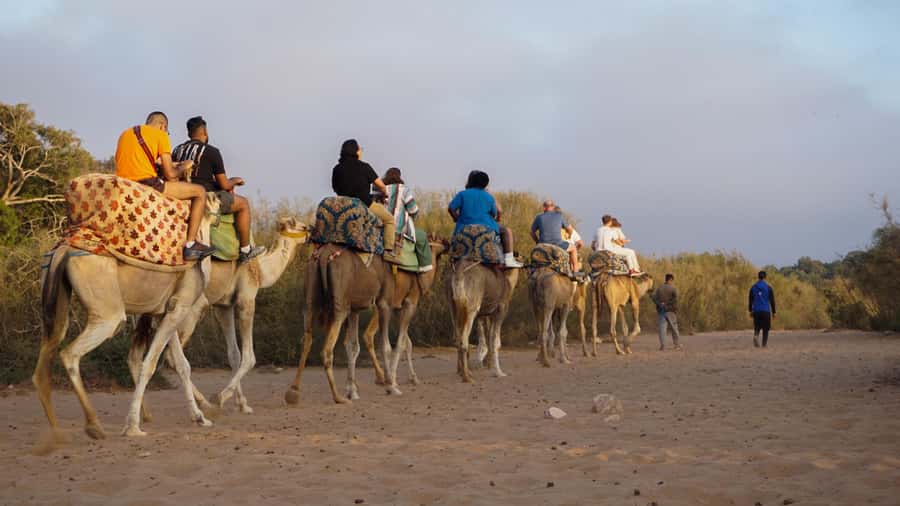 Agadir/Taghazout: Camel Ride with Tea Drink and Transfers - The Camel Ride Itself: Views, Photos, and That Slow Rhythm