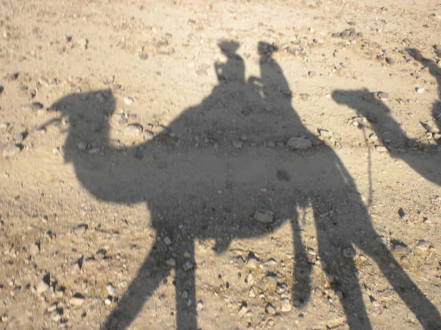 Agadir/Taghazout: Camel Rides with Tea Drink and Transfer - Key Things to Know Before You Go