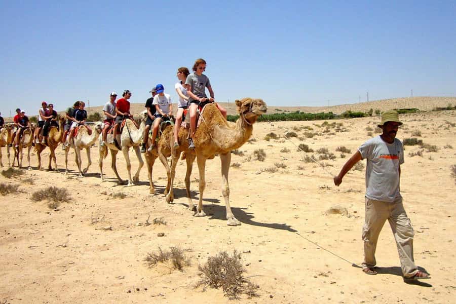 Agadir/Taghazout: Camel Rides with Tea Drink and Transfer - Camel Ride in Agadir: The Real Feel of the Experience
