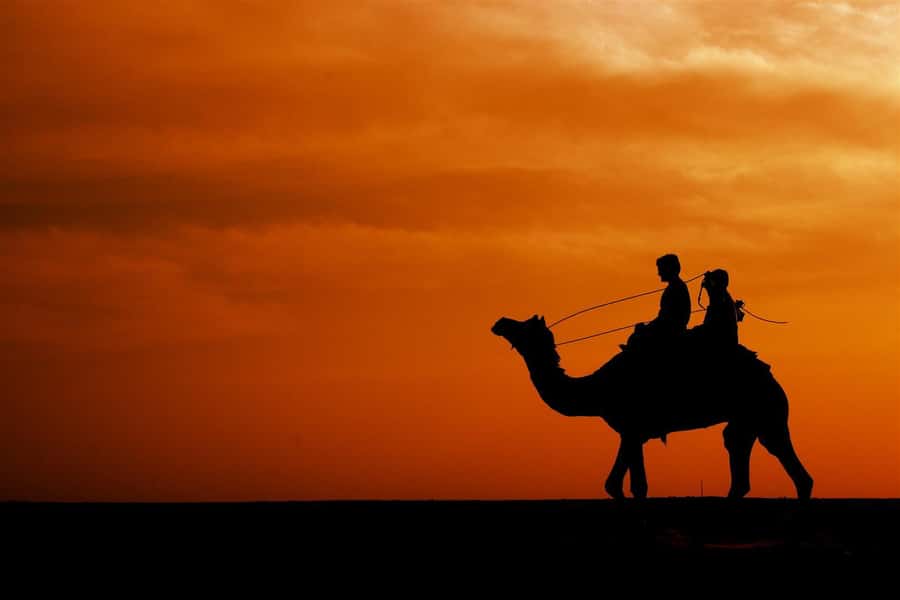 Agadir/Taghazout: Camel Rides with Tea Drink and Transfer - Price and Value: Is $38 a Good Deal?