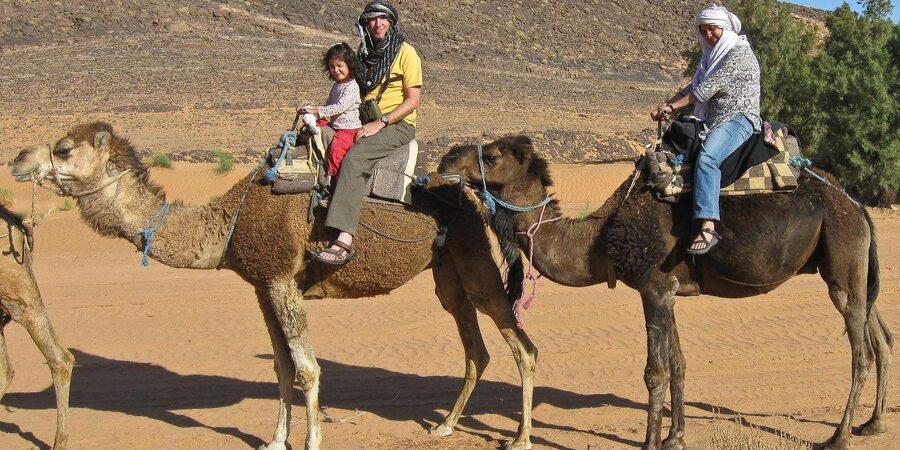 Agadir/Taghazout: Camel Rides with Tea Drink and Transfer - Service Style With IBN BATOUTTA TRAIL
