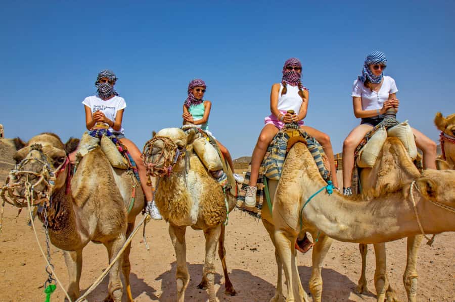 Agadir/Taghazout: Camel Rides with Tea Drink and Transfer - Who This Camel Ride Suits Best (And Who Should Think Twice)