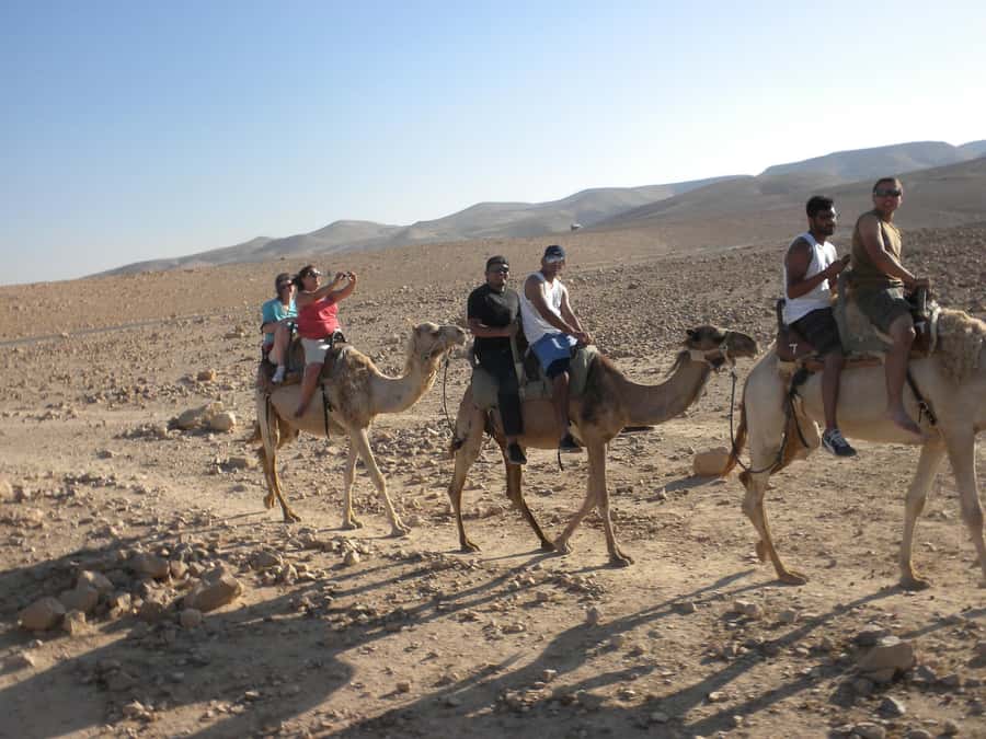 Agadir/Taghazout: Camel Rides with Tea Drink and Transfer - FAQ