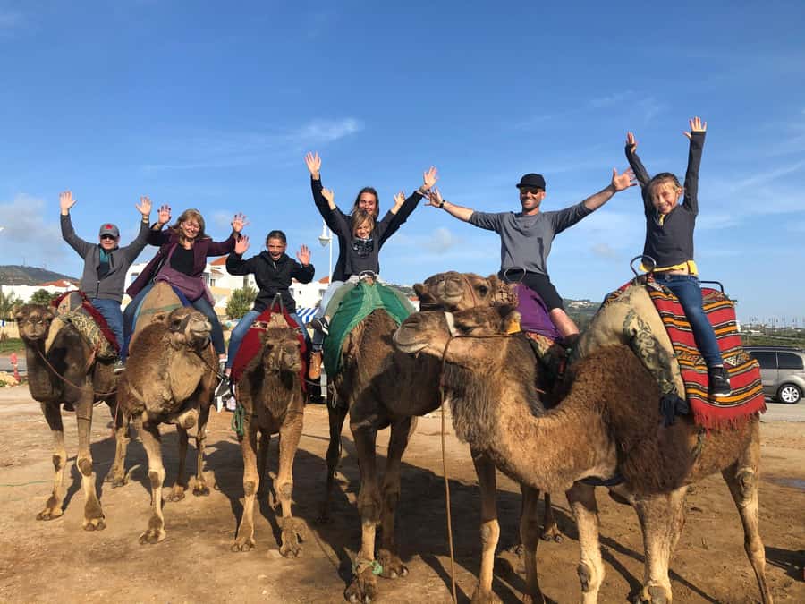 Agadir/Taghazout: Camel Rides with Tea Drink and Transfer - The 2-Hour Flow: Pickup, Ride, and Mint Tea Wind-Down