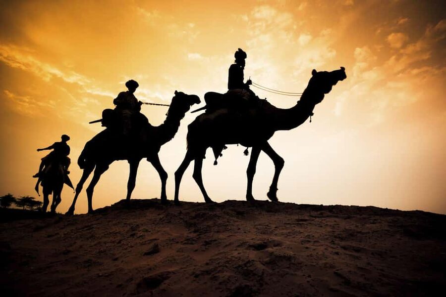 Agadir/Taghazout: Camel Rides with Tea Drink and Transfers - Practical Tips So You Enjoy It More
