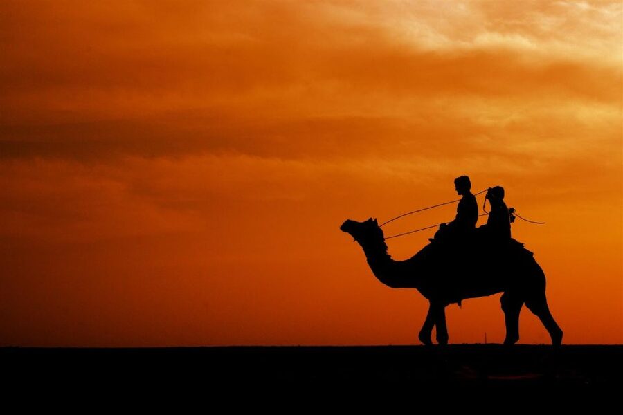Agadir/Taghazout: Camel Rides with Tea Drink and Transfers - The Ride Itself: Two Hours of Sun, Sea-Bed, and River Area Views